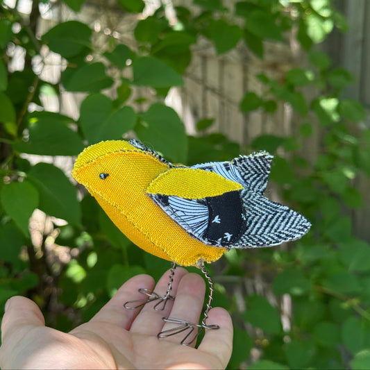 Sunshiny Goldfinch